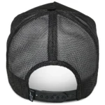 Focus Trucker / Gorra Alpinestars